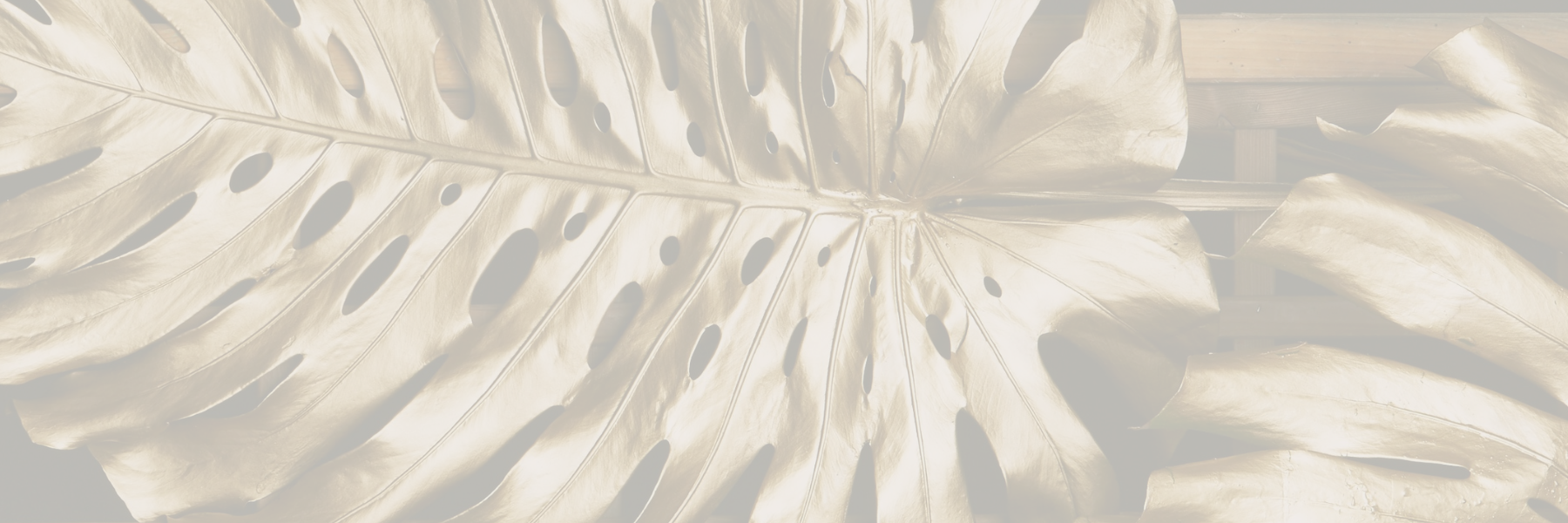 Moscou By Danny Horseele Gastronomisch Restaurant In Gentbrugge